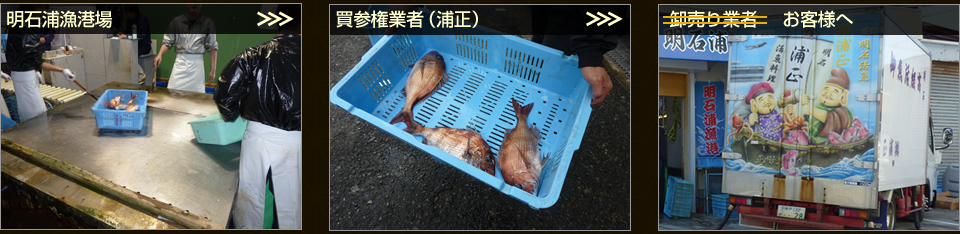 �z�B�܂ł̗���